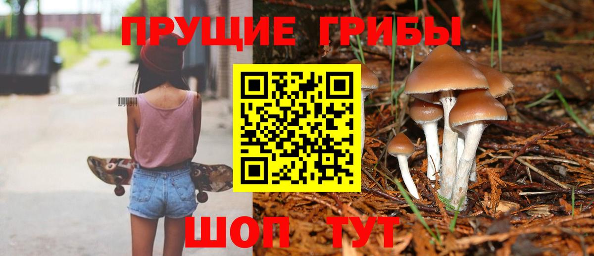 Псилоцибиновые грибы мицелий  Вход с VPN  Псилоцибиновые грибы мицелий  Азов 